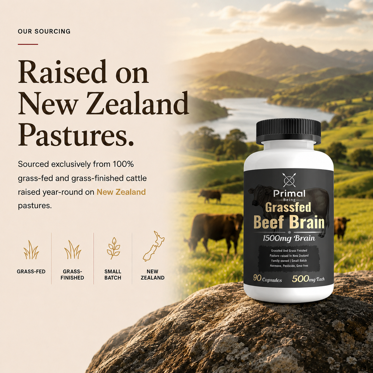 Grassfed Beef Brain, raised on New Zealand pastures