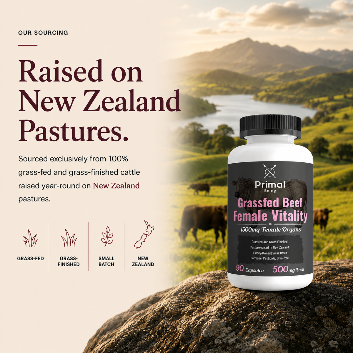 Grassfed Beef Female Vitality, raised on New Zealand pastures