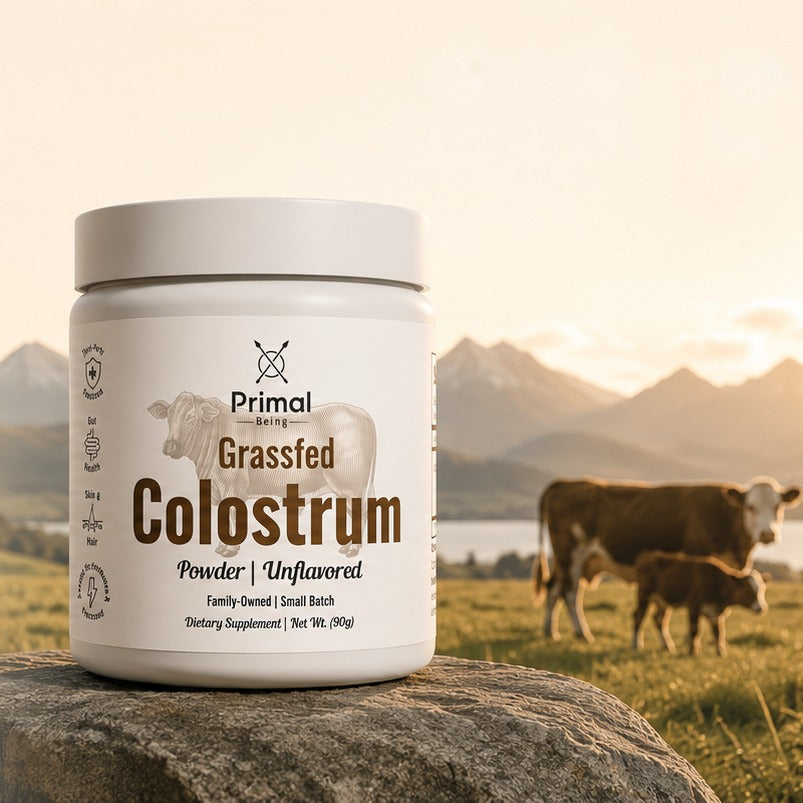 Primal Being Grassfed Colostrum jar on a rock in a pasture with a cow and calf