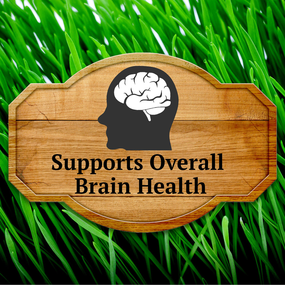 Primal Being Grassfed Beef Brain, Supports Overall Brain Health 90 C