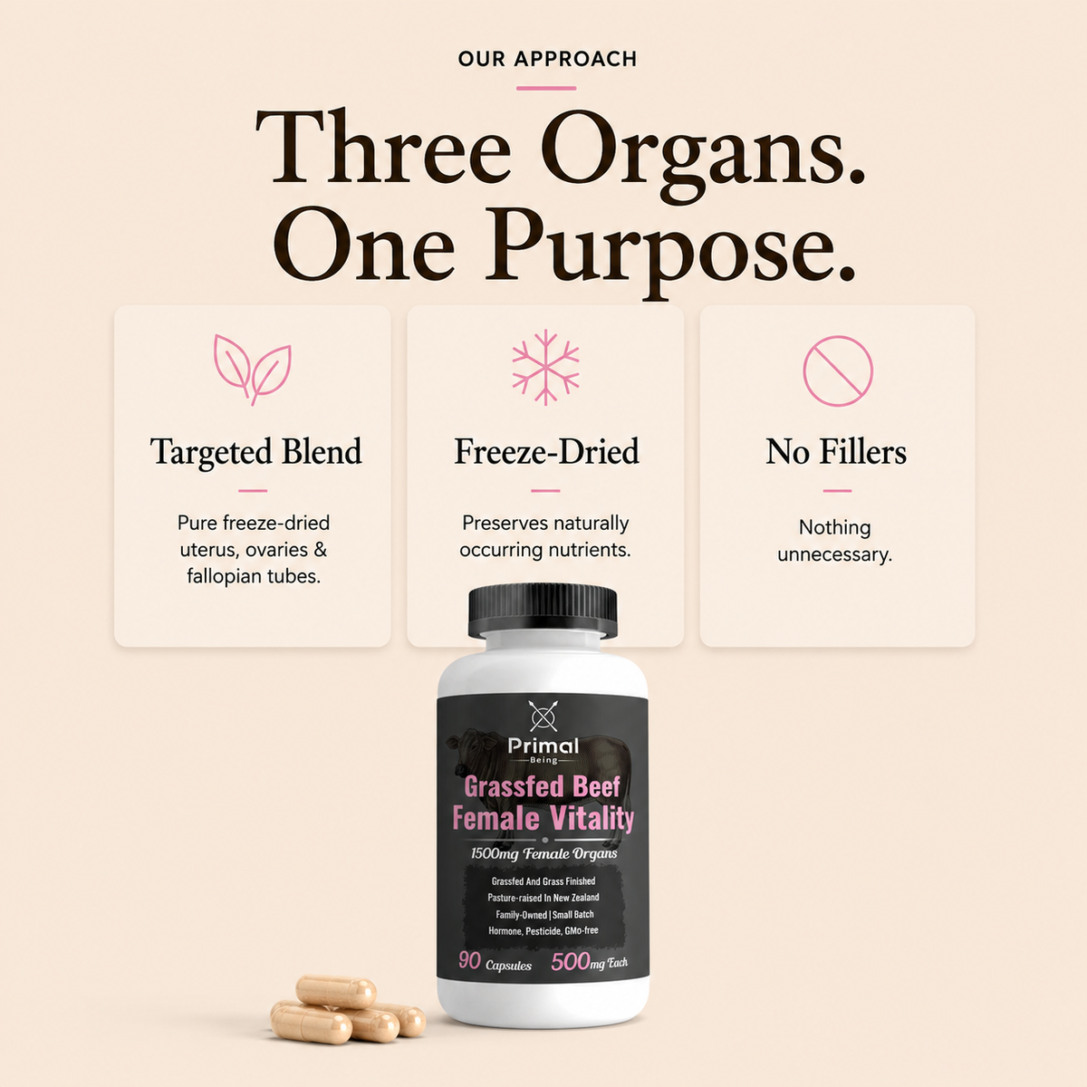 Grassfed Beef Female Vitality what is inside and how it is made