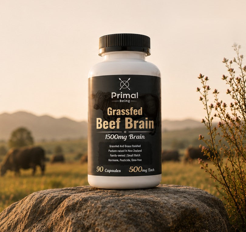 Primal Being Grassfed Beef Brain bottle on a rock in a pasture with grazing cattle
