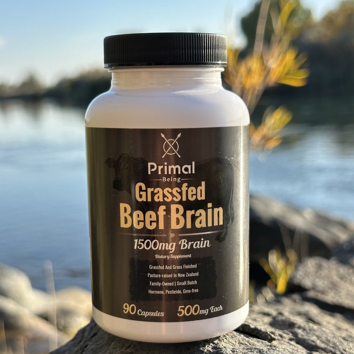 Primal Being Grass Fed Beef Brain capsules bottle on a rock by a river in morning sun