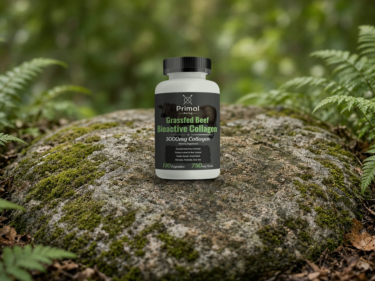 Primal Being Grassfed Beef Bioactive Collagen bottle standing on a mossy stone among ferns