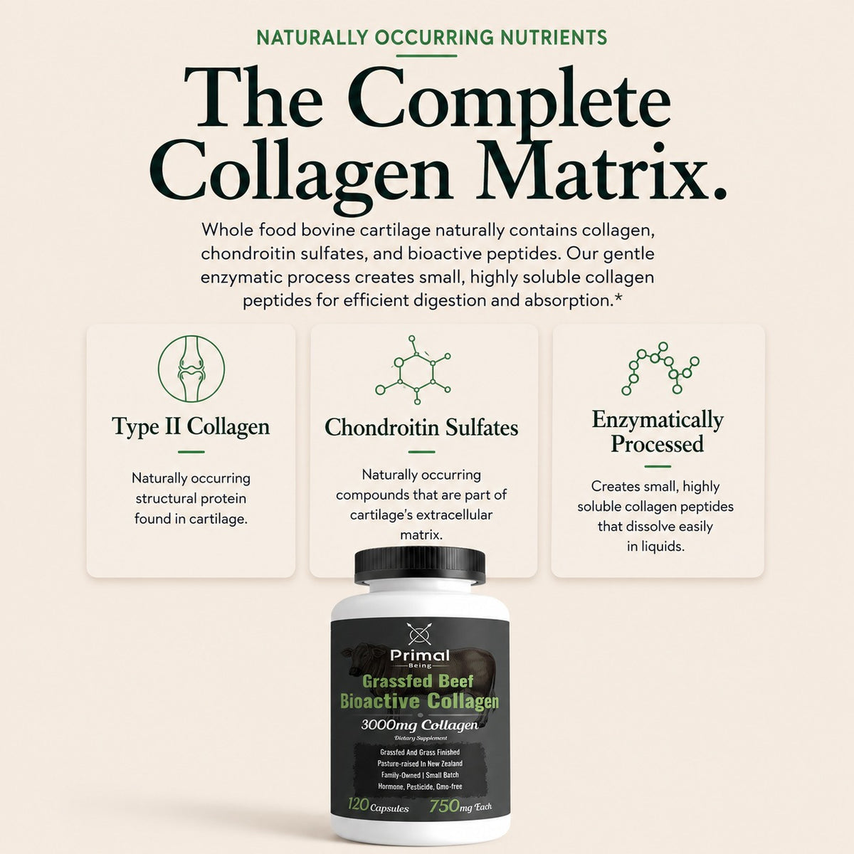 The complete collagen matrix: type II collagen, chondroitin sulfates and enzymatically processed collagen peptides, with the Collagen bottle