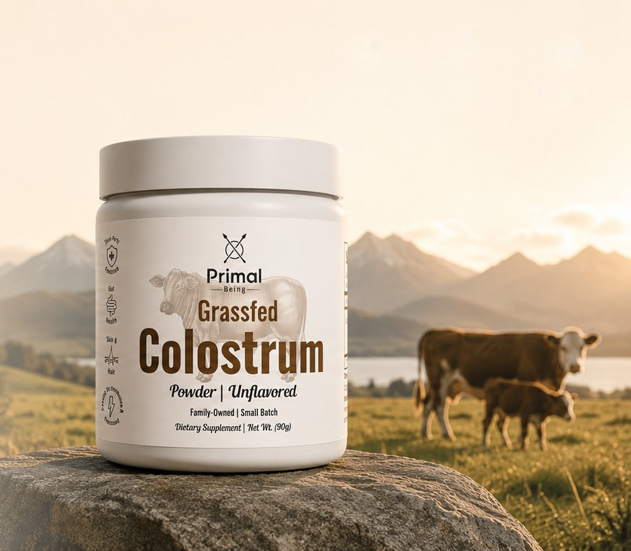 Primal Being Grassfed Colostrum jar on a rock in a pasture with a cow and calf