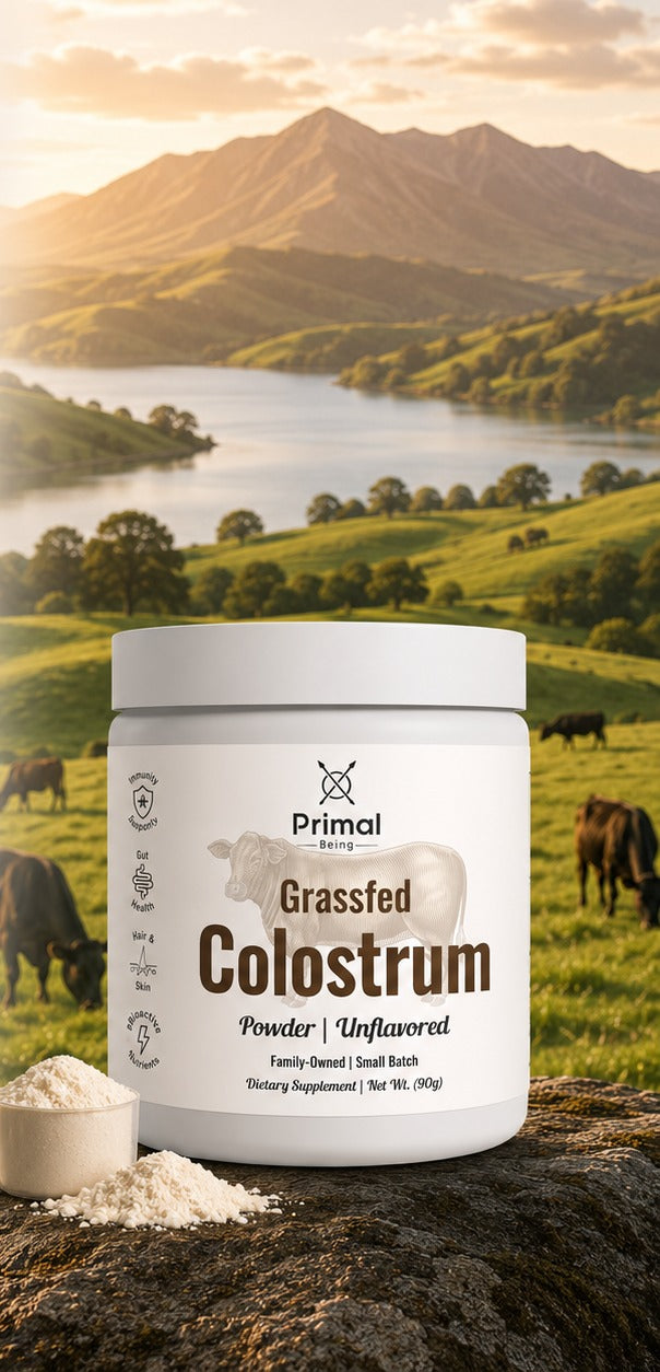 Primal Being Grassfed Colostrum jar with a scoop of powder on a rock above a pasture
