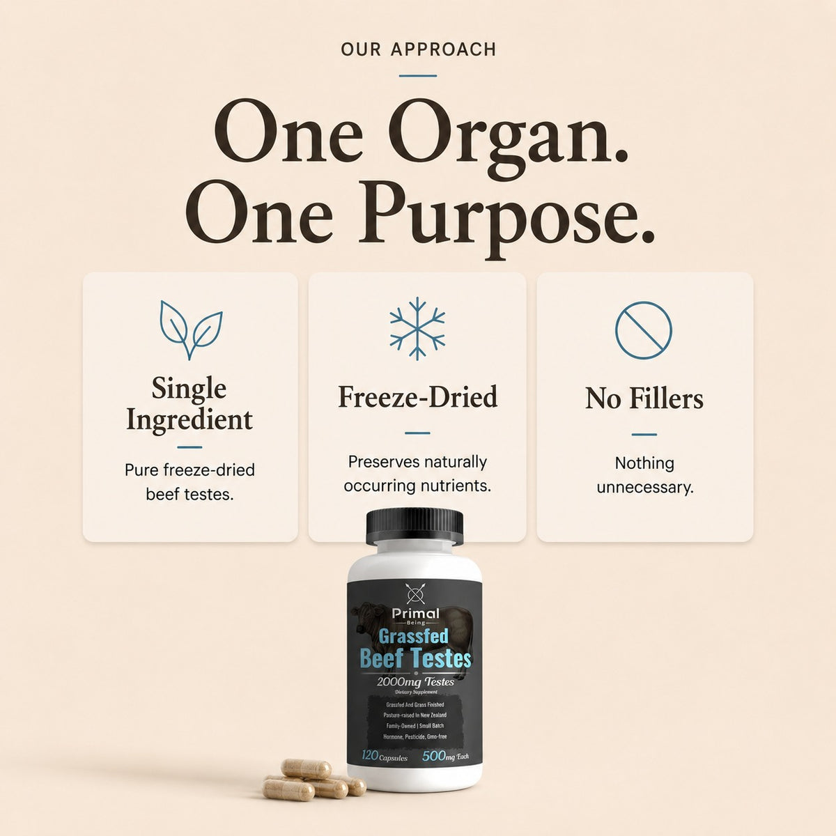 One organ, one purpose: single ingredient, freeze dried, no fillers
