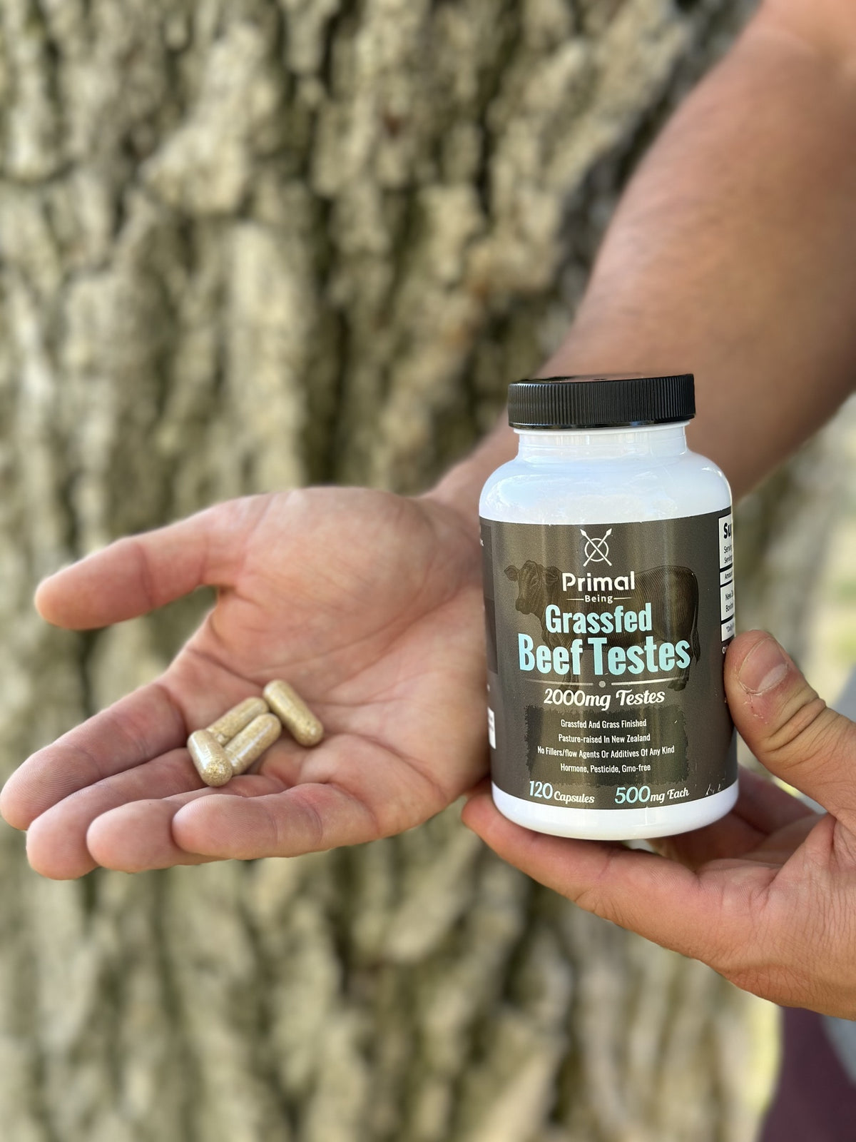 Grass Fed Beef Testes bottle and capsules held in hand outdoors
